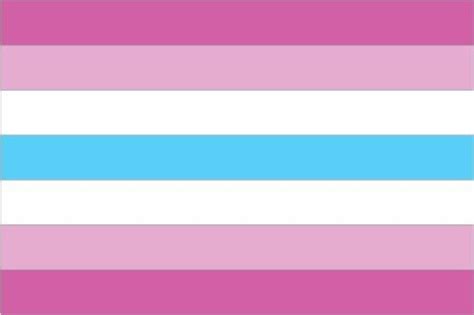 I created one of the widely used femboy flag designs。